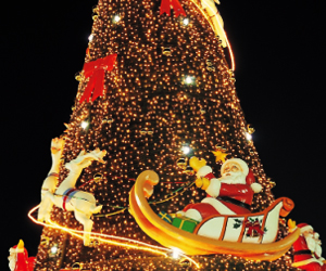 Role of Christmas Tree